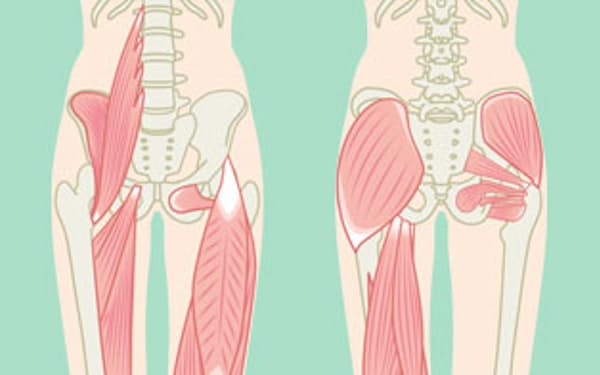 股関節の健康のために…今できること